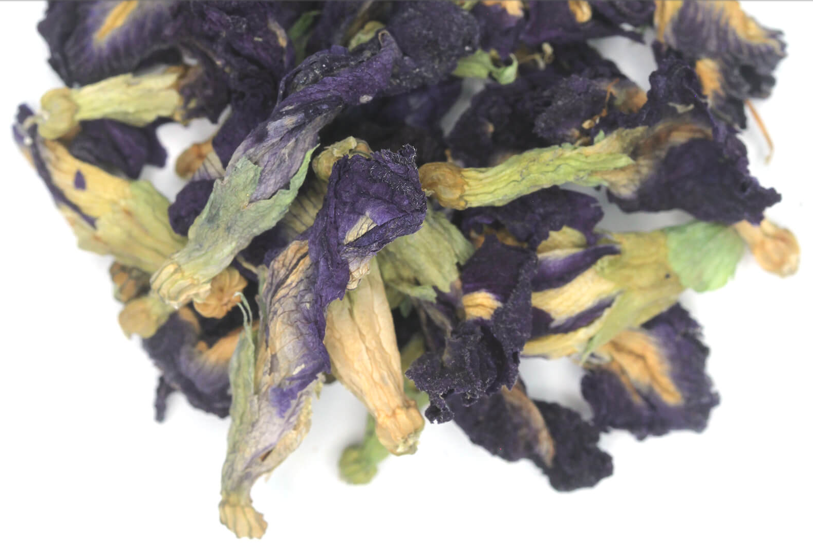 Butterfly Pea